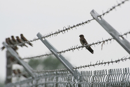 199535663_874fa6a178_z